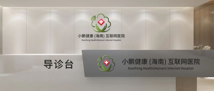 海南小鹏健康互联网医院成功通过海南省卫健委专家组评审