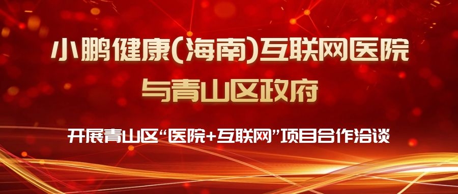 海南小鹏健康互联网医院与青山区政府开展青山区 "医院+互联网"项目合作洽谈