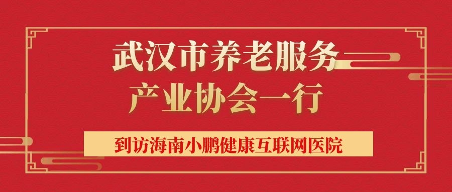 武汉市养老服务产业协会一行到访海南小鹏健康互联网医院