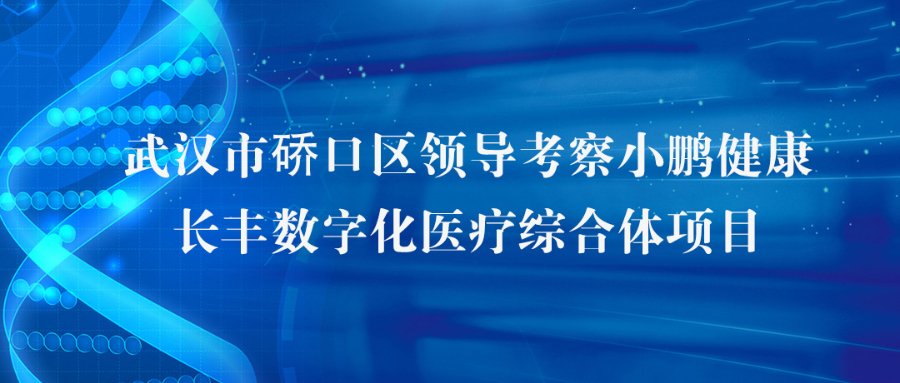 武汉市硚口区领导考察小鹏健康长丰数字化医疗综合体项目