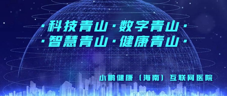 小鹏健康(海南)互联网医院与青山区政府开展青山区 "医院+互联网"项目合作洽谈(图4)